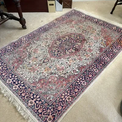 Persian-style Oriental Area Rug