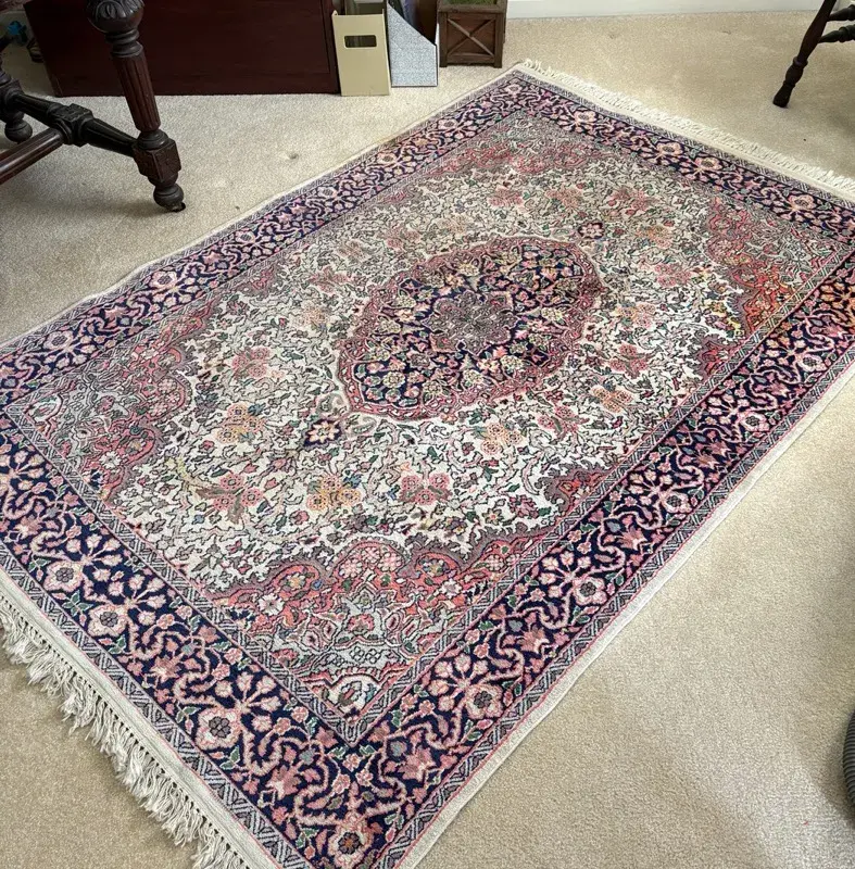 Persian-style Oriental Area Rug