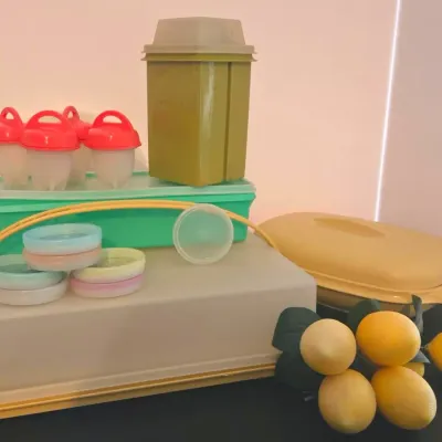 Vintage Tupperware With Extra Lids, Includes Egglettes