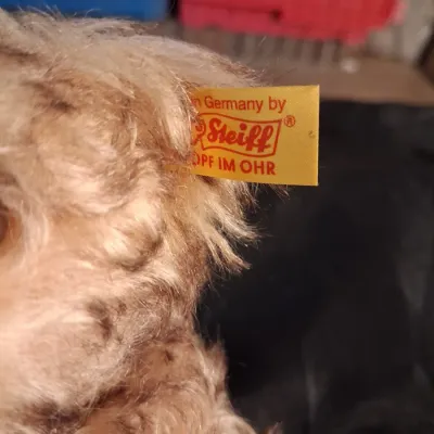 STEIFF JOINTED TEDDY BEAR