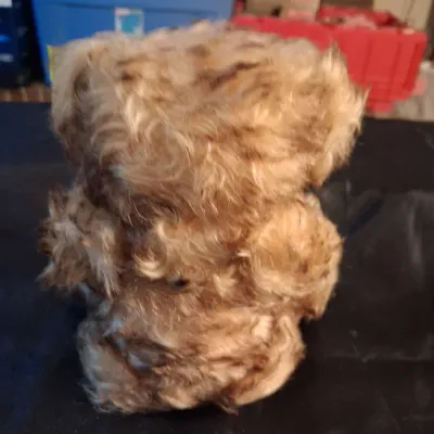 STEIFF JOINTED TEDDY BEAR