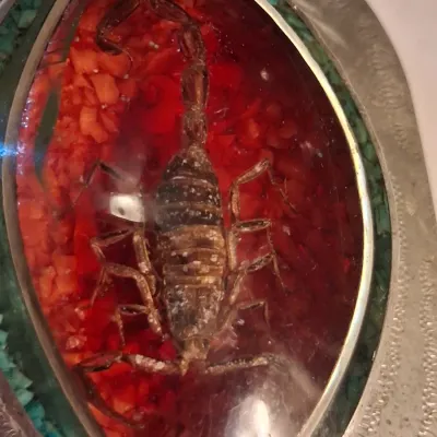 ENCASED SCORPIAN BELT BUCKLE BY WESTERN FLARE COLO SPRGS, CO