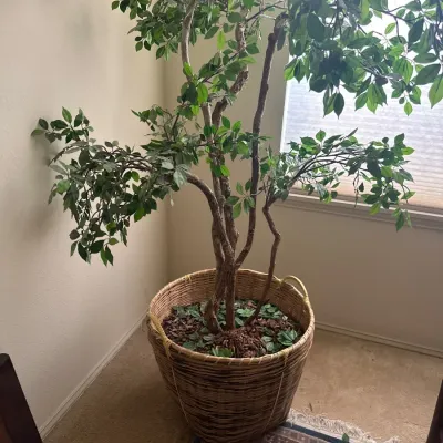Indoor faux tree