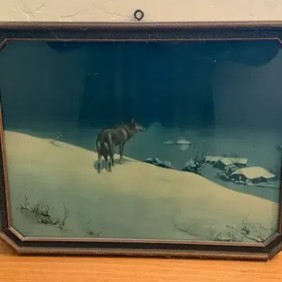 Framed Wolf Print