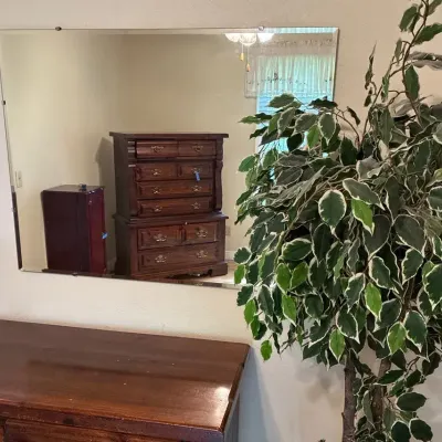 Hanging Mirror & Faux Plant 