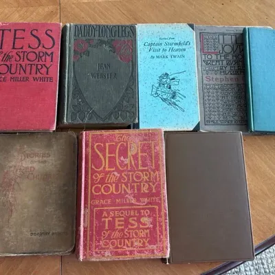 Turn-of-the-Century & Antique Books — Mark Twain, Daddy-Long-Legs, Tess & More