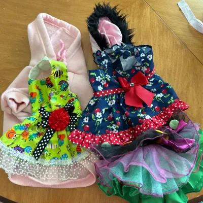 Lot Of X-small Dog Costumes 
