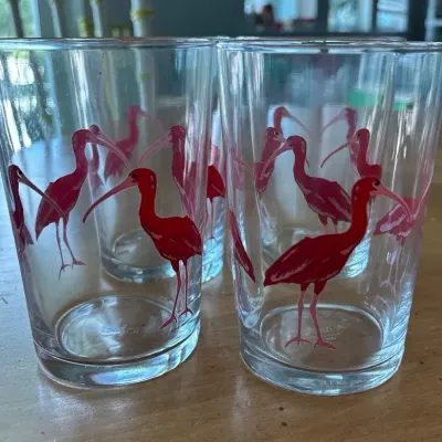 retro IKEA glass tumblers featuring a playful pink ibis bird pattern.