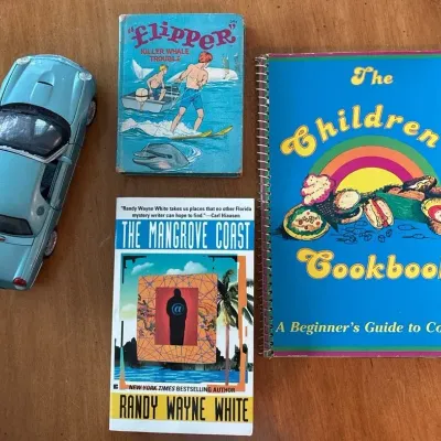 Vintage Kids Flipper Book, Blue You Car, Mangrove Coast And Cookbook