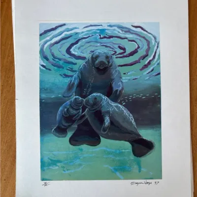 Landscape, Nature & More Various Signed Art Prints 
