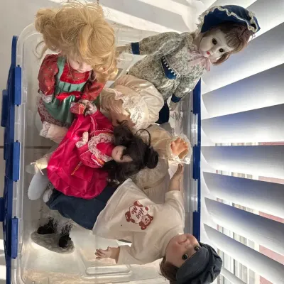 Mystery Doll Collection! 
