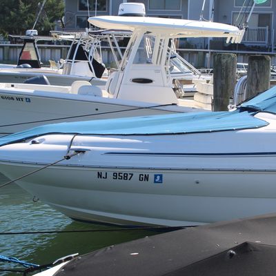 White powerboat with blue canvas cover docked in a marina slip, with registration number NJ 9587 GN.