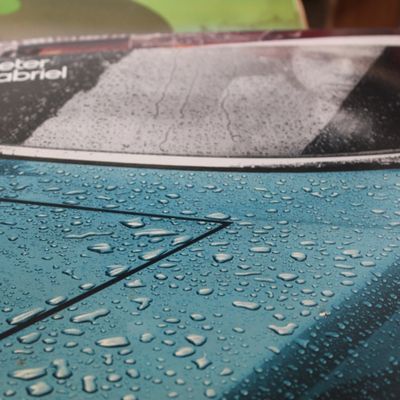Peter Gabriel self-titled vinyl record album, commonly known as "Car", released in 1977.