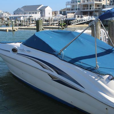 Sea Ray Sundeck motorboat with a white hull and blue fitted canvas cover, docked in a marina slip.