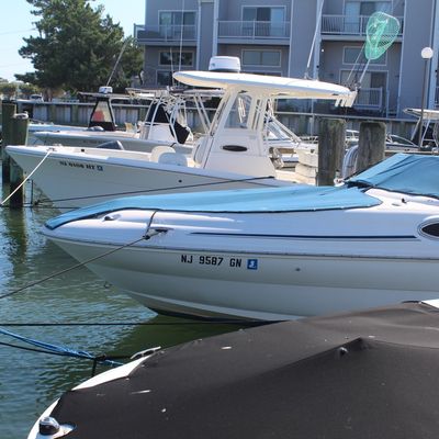 White Sundeck powerboat with blue canvas cover docked in a marina slip alongside other recreational boats.