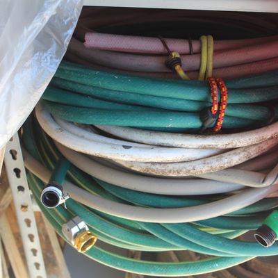 Stack of assorted garden hoses bound with bungee cords and stored on a shelf.