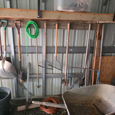 Sale Photo Thumbnail #38: Assorted garden and yard tools, including shovels, rakes, a wheelbarrow, and extension cords, stored in a metal shed.