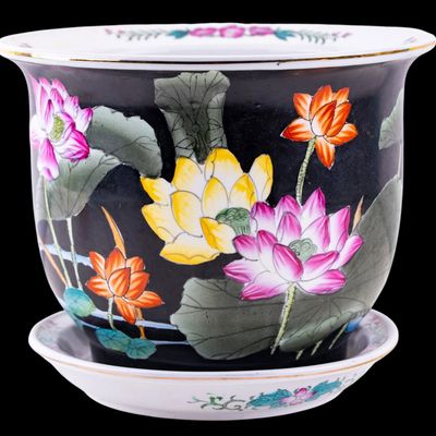 Chinese Porcelain Planter w/ Underplate