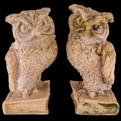 Pair of Cast Owl on Book Bookends