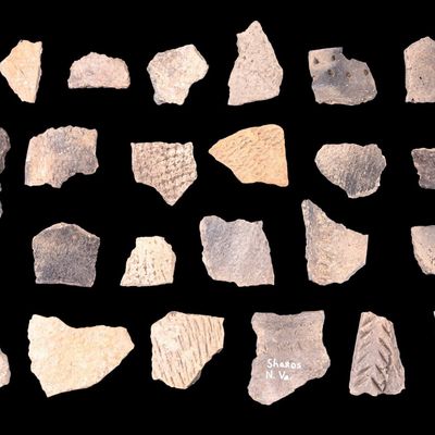 Native American Massawomeck Pottery Shards