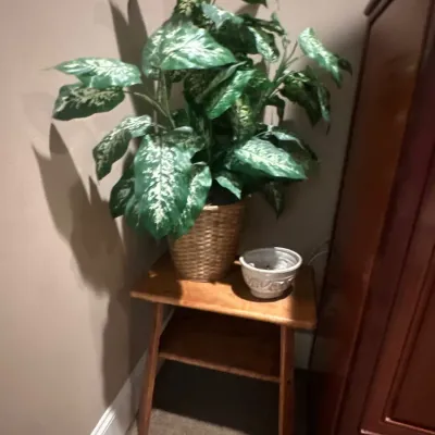 Faux plants