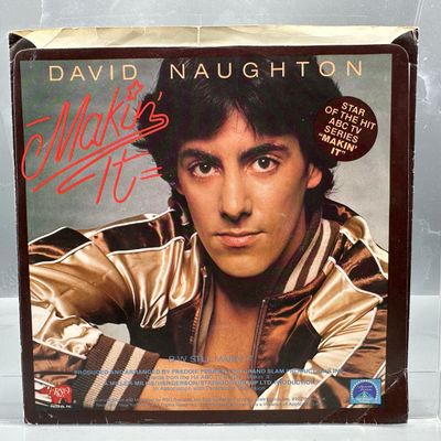 1978 RSO Records David Naughton Makin' It New Special 12" Mix White Label Promo 45 RPM Record W/ Original Picture Sleeve - RS 916