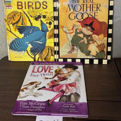 Children’s Book Lot