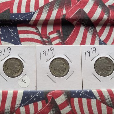 (3) 1919 Indian Head Buffalo Nickels