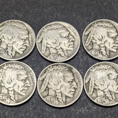 (6) 1936-D Indian Head Buffalo Nickels