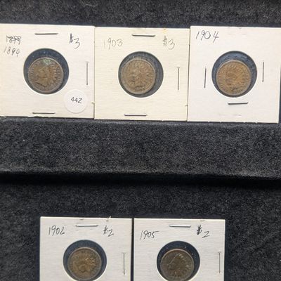 1899, 1903, 1904, 1905, & 1906 Indian Head Cents