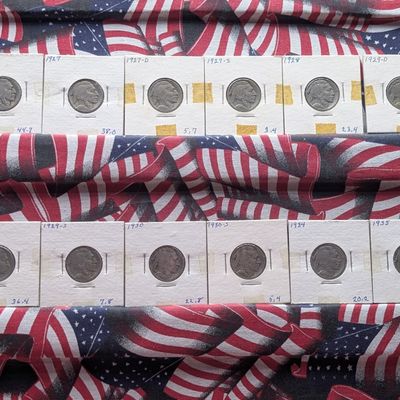(12) Assorted Indian Head Buffalo Nickels