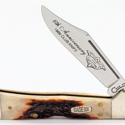 Ltd 1999 Case XX Mid-Michigan Knife Collectors Stag Copperlock 51549
