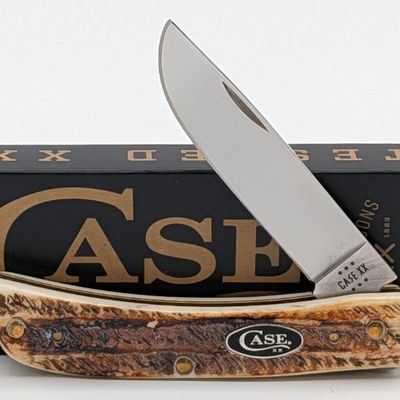 2024 Case XX Bone Stag Sod Buster Jr. 6.5137 w/ Box