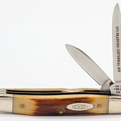 1979 Case XX Bradford Centennial Stag Small Jack Knife 52027