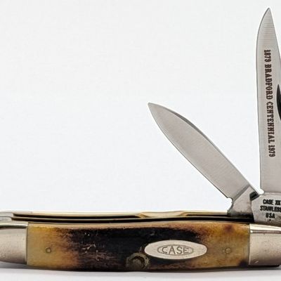 1979 Case XX Bradford Centennial Stag Small Jack Knife 52027