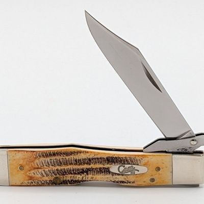 2020 Case XX Bone Stag Cheetah 6.5111 1/2