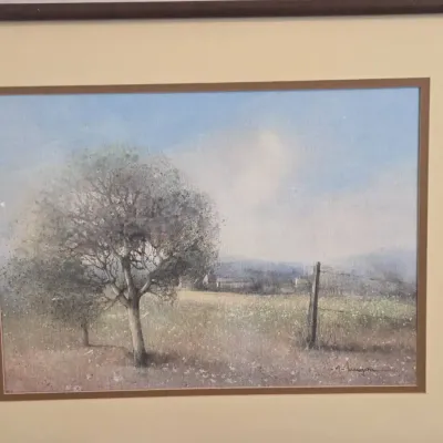 Framed Art Print Trees