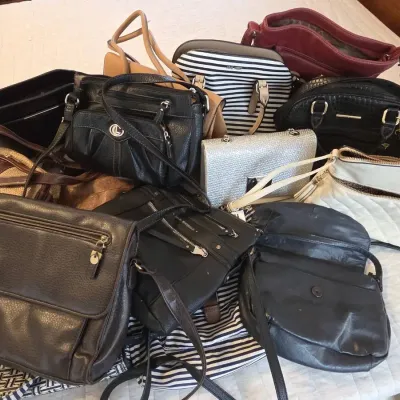 Mystery Purse Lot