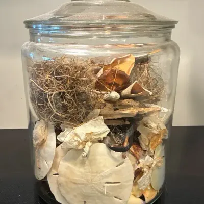 Jar Of Nature Curiosities 