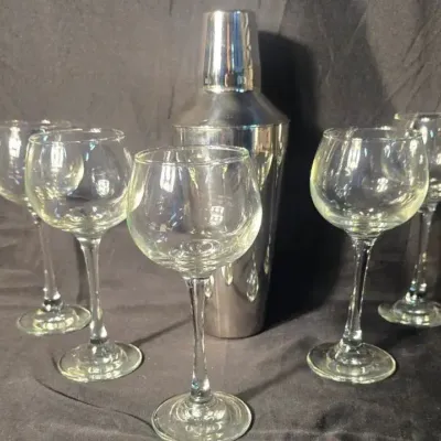 Browne & Co. Stainless Steel Cocktail Shaker With 5 Stemmed Glasses