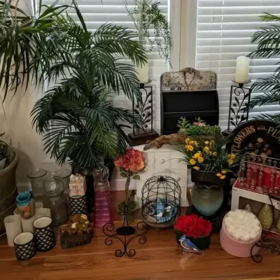 Live Palm, Faux Plants & Decorative Accents