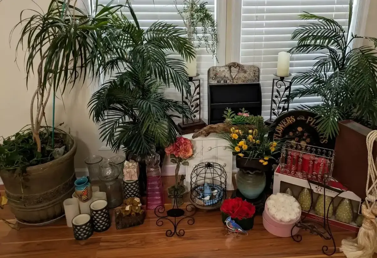 Live Palm, Faux Plants & Decorative Accents