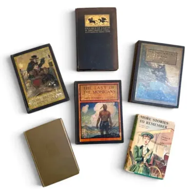 The Last Of The Mohicans, The Mysterious Island, & More Vintage Books 