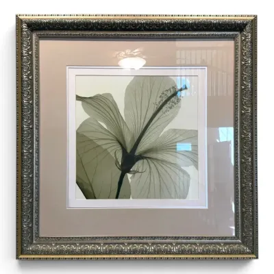 Lily Flower Photography Print w/ Frame (34” X 34”)