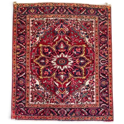 Geometric Floral Medallion Rug (4.5' X 4')