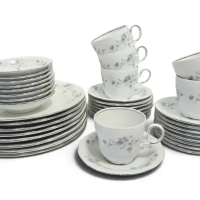 Johann Haviland Bavaria Germany "Blue Garland" China Set 
