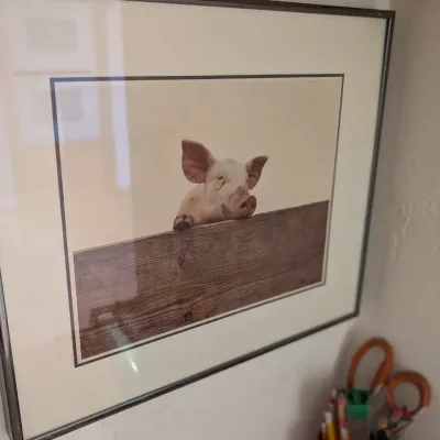 Sale Photo Thumbnail #185