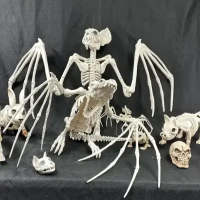 Halloween Skeleton Animals Collection