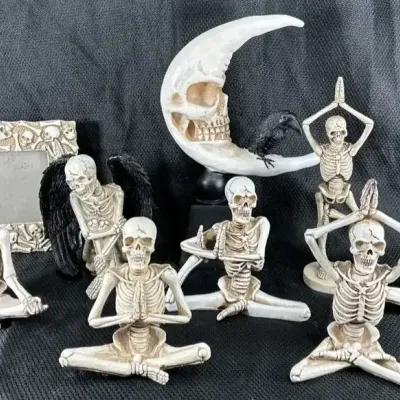 Yoga Skeletons, Picture Frame, Crow Sitting on Moon Skeleton