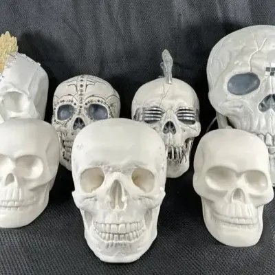 Halloween Skull Collection Plastic, Plaster of Paris, Ceramic Some Decorated